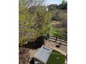 Lush backyard with a hammock and putting green, perfect for outdoor relaxation and recreation at 12380 Jasper Pointe Way, Castle Pines, CO 80108