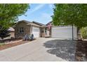 Spacious driveway leading to a three car garage, surrounded by lush greenery and brick facade at 12380 Jasper Pointe Way, Castle Pines, CO 80108