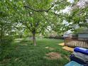 Overgrown backyard featuring a mature tree and a small wooden deck or patio area at 1717 Oswego St, Aurora, CO 80010