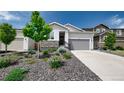 Beautiful single-story home with manicured landscaping and a driveway leading to an attached two-car garage at 20 Vista Canyon Dr, Castle Rock, CO 80104