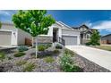 Landscaped front yard with a view of the single story home with a grey door and two-car garage at 20 Vista Canyon Dr, Castle Rock, CO 80104