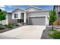 Inviting single-story home with a gray two-car garage door, neat landscaping, and a well-maintained driveway at 20 Vista Canyon Dr, Castle Rock, CO 80104
