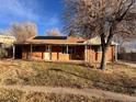 Brick ranch home features a large yard and solar panels at 1550 Ash Ct, Thornton, CO 80229