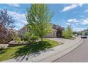 Well-kept lawn and landscaping surround this lovely home with an attached three-car garage at 3748 Starry Night Loop, Castle Rock, CO 80109