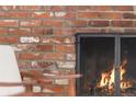 Close-up of a brick fireplace featuring a fire burning with a metal screen at 155 S Pennsylvania St # 205, Denver, CO 80209