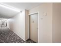 Hallway leading to an apartment door with an ornate door knocker at 350 S Clinton St # 8C, Denver, CO 80247