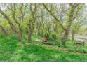Lush backyard scene with mature trees shading a bench and small table at 6334 Cherokee Dr, Sedalia, CO 80135
