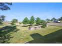 Expansive backyard featuring a stone patio, manicured lawn, mature trees, and an open field at 8855 E Parker Rd, Parker, CO 80138