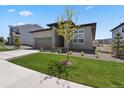 Beautifully landscaped front yard with green lawn and a young tree enhancing the curb appeal of the home at 328 Simmental Loop, Castle Rock, CO 80104