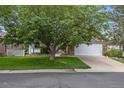 Charming home featuring a stone-accented two-car garage and a well-manicured front yard with mature trees at 12277 W Chenango Dr, Morrison, CO 80465