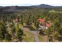 Sprawling wooded property with a stunning home and winding driveway showcases mountain views at 23076 Oehlmann Park Rd, Conifer, CO 80433