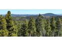 Beautiful landscape featuring lush green pine trees and rolling mountains in the distance at 10508 Christopher Dr, Conifer, CO 80433