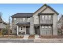 Attractive gray homes with inviting front porches and tasteful landscaping at 8157 E 53Rd Dr, Denver, CO 80238