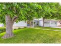 Attractive home with mature landscaping and a well-kept lawn, creating a welcoming curb appeal at 6748 S Gallup St, Littleton, CO 80120