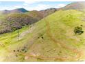 Scenic hillside with a hiking trail and native vegetation in a mountain community at 6634 Window Rock Ln, Morrison, CO 80465