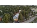 Stunning aerial view of the home surrounded by dense trees for privacy at 7841 Deertrail Dr, Parker, CO 80138