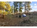 Scenic yard with a tent and chairs amidst towering trees, ready for camping at 7841 Deertrail Dr, Parker, CO 80138