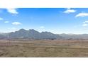 Stunning mountain view with lush green fields at 17213 W 93Rd Pl, Arvada, CO 80007