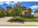 Charming home with a well-manicured lawn and mature trees, creating inviting curb appeal at 14074 Yellow Tip Dr, Parker, CO 80134
