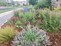 Landscaped front yard featuring colorful flowers and shrubs at 23579 E Swallow Cir, Aurora, CO 80016