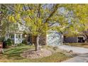 Landscaped front yard with a two-story house and large tree at 13942 Jackson St, Thornton, CO 80602