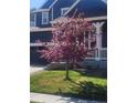 Close up of a flowering tree in a lush green front yard outside a home at 10733 Salida St, Commerce City, CO 80022