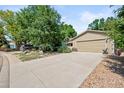 Long concrete driveway leading to a two-car garage, with beautiful landscaping and mature trees surrounding at 7552 Nikau Dr, Niwot, CO 80503