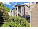 A view of the home's exterior is partially obscured by a lush green bush at 3857 Mossy Rock Dr # 201, Highlands Ranch, CO 80126