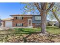 Traditional brick home featuring a bay window, front lawn, and mature trees providing shade at 11506 Fowler Dr, Northglenn, CO 80233