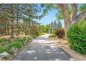 Long driveway lined with mature trees and landscaping leads to this secluded property at 8576 Niwot Meadow Farm Rd, Niwot, CO 80503