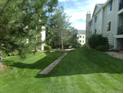 Well-maintained backyard featuring lush green grass and a pathway that leads to other units at 6705 S Field St # 802, Littleton, CO 80128
