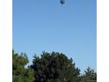 Scenic view of a hot air balloon floating over lush green trees at 15545 Lipan St, Broomfield, CO 80023