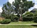 Charming front yard with a beautiful yard and mature trees and lush greenery at 2238 Newton St, Denver, CO 80211