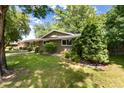 Well-manicured front lawn with mature landscaping and an established evergreen bush near the home at 2934 S Columbine St, Denver, CO 80210