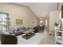 Spacious living room with modern decor and an open floor plan to the dining area at 2043 Fendlebrush St, Highlands Ranch, CO 80129