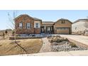 Beautiful home with stone accents, well-maintained lawn, and a charming brick walkway leading to the entrance at 3981 Old Oaks St, Castle Rock, CO 80104