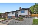 Beautiful house showcasing stone landscaping, gray trim, brick accents, and mature yard at 2176 S Welch Cir, Lakewood, CO 80228