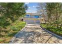A long driveway leads up to a well-maintained two-story home nestled among lush trees and natural landscaping at 53 Taylor Ct, Castle Rock, CO 80104