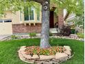 Charming home with a landscaped front yard featuring a stone-edged flower bed around a mature tree at 10633 Wynspire Way, Highlands Ranch, CO 80130