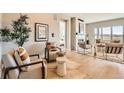 Bright living room featuring modern chairs, area rug, and lots of natural light at 119 Leafy Aster Ln, Castle Rock, CO 80104