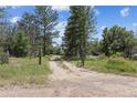 A long dirt driveway lined by mature trees leads up to the property on a sunny day at 7390 Rafter Rd, Franktown, CO 80116