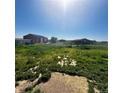 Image of an extensive green yard with two warehouses in the background at 13291 N Harback Rd, Bennett, CO 80102