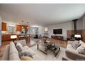Modern living room with stylish furniture, hardwood floors, an island, and a wood-burning stove at 29827 Gigi Rd, Evergreen, CO 80439