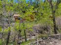 Wood sided house viewed through the trees with creek running nearby at 11220 S Deer Creek Rd, Littleton, CO 80127