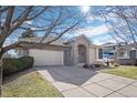 Charming home boasts stone accents, a well-maintained lawn, and a spacious driveway at 2059 June Ct, Castle Rock, CO 80104