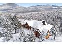 Charming log home with snow-covered roof, surrounded by snow-covered pine trees, creating a serene and picturesque winter scene at 8699 Blue Creek Rd, Evergreen, CO 80439