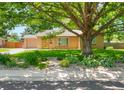Inviting front exterior features a well-manicured lawn, mature shade tree, and brick facade at 3925 Newland St, Wheat Ridge, CO 80033