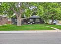 Exterior front elevation of the house with lovely landscaping and mature trees at 900 Locust St, Denver, CO 80220