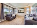 Comfortable living room featuring neutral carpet, large windows, and stylish sofas with decorative pillows at 22197 E Stroll Ave, Parker, CO 80138