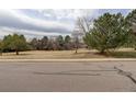 Scenic view of a green common neighborhood area with mature trees and a walking path, perfect for outdoor activities at 1720 S Balsam St, Lakewood, CO 80232